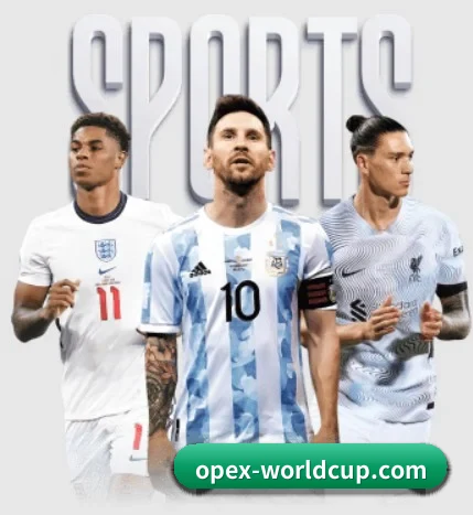 世界杯 APP