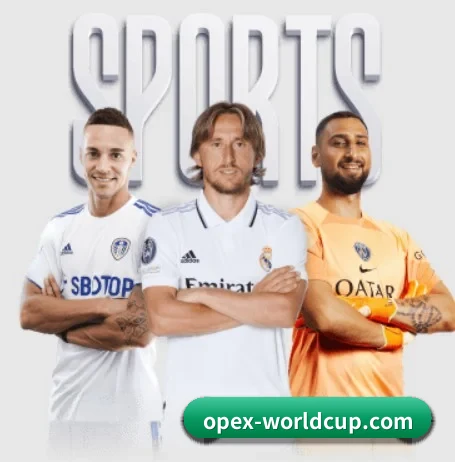世界杯 APP 界面